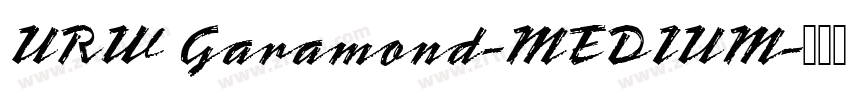 URW Garamond-MEDIUM字体转换